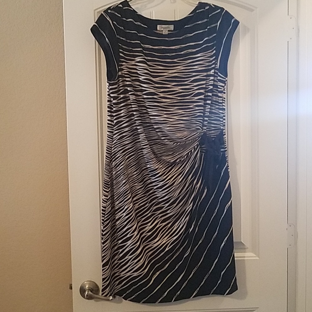 Dark Navy and Beige Dress